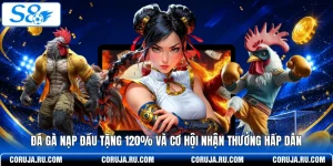 Đá Gà Nạp Đầu Tặng 120% Và Cơ Hội Nhận Thưởng Hấp Dẫn