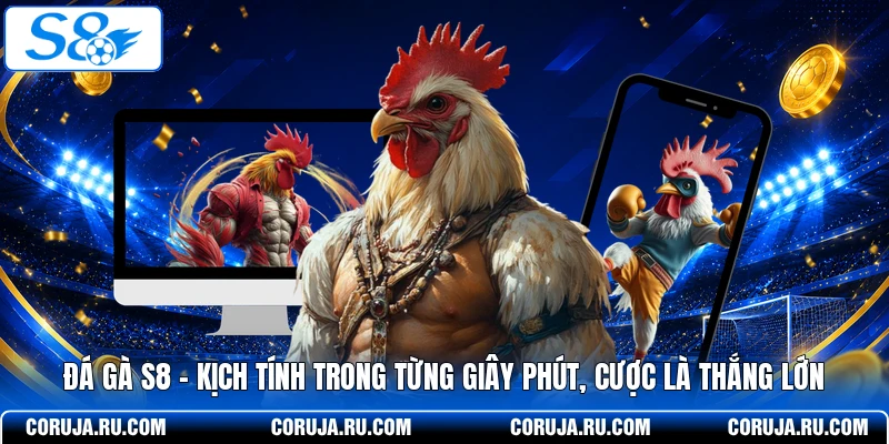 Đá Gà S8 kich tính trong từng giây phút 