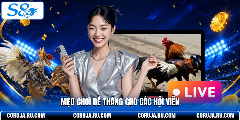 Mẹo chơi dễ thắng cho các hội viên